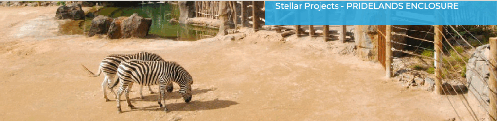 Stella Image 2 | CodeBlue NZ