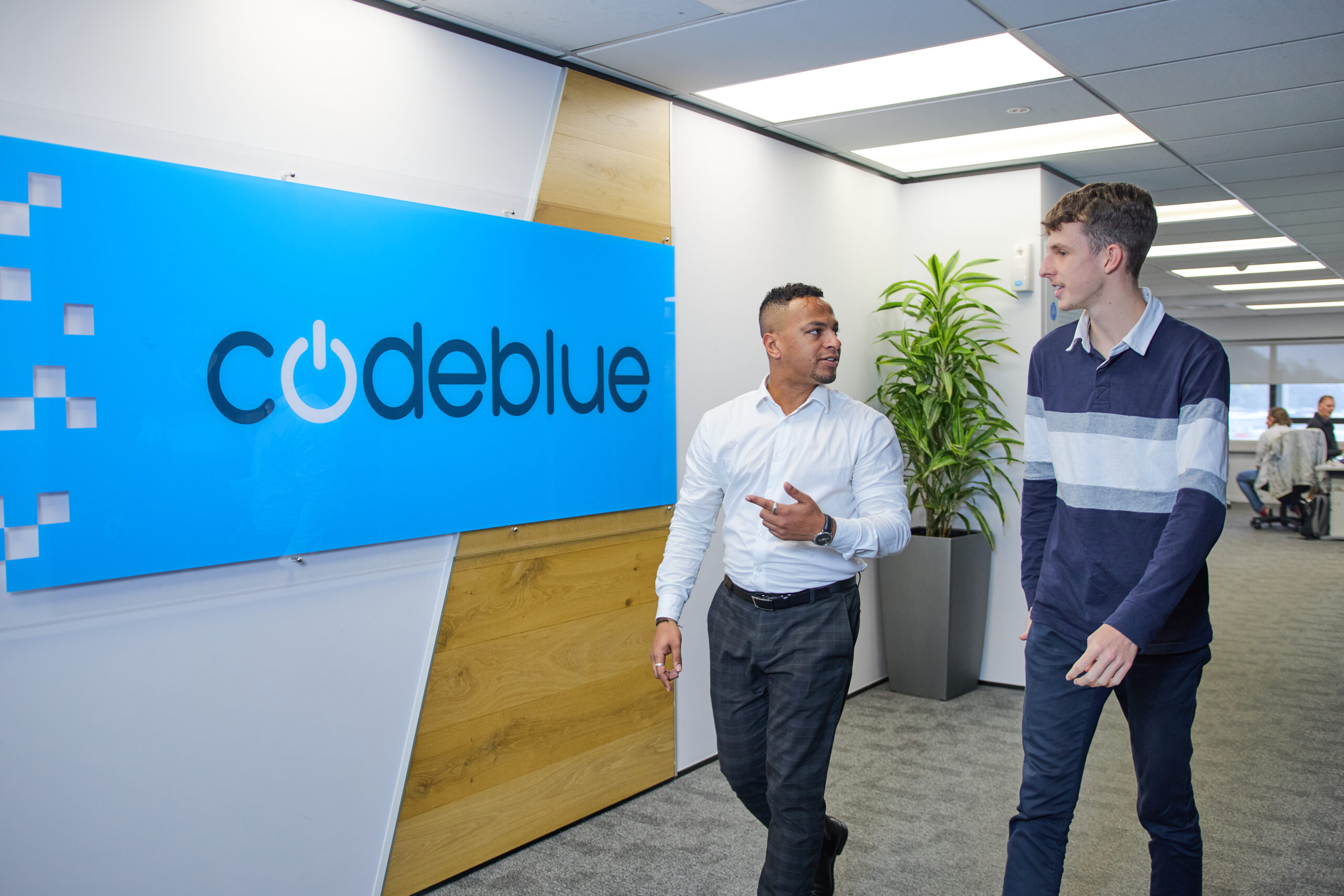 Get the Managed IT Services you need with zero tie-in contracts | CodeBlue NZ